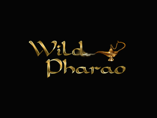 Casino Logo
