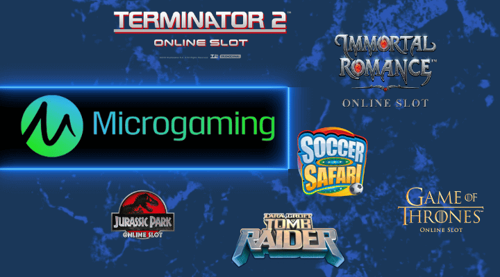 Microgaming Slots in Online Casinos