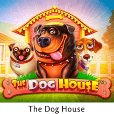 the dog house slot table
